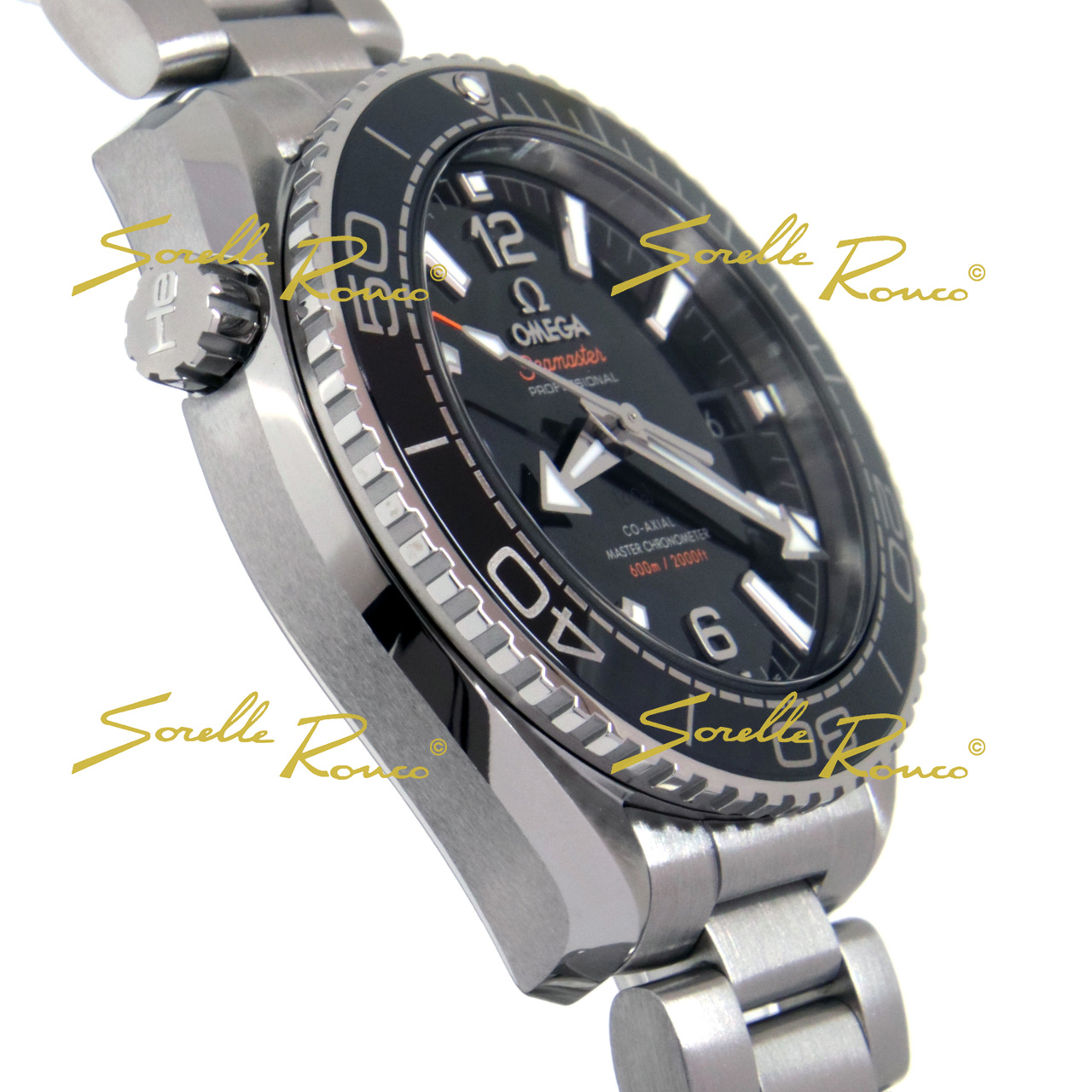 Omega Seamaster Planet Ocean